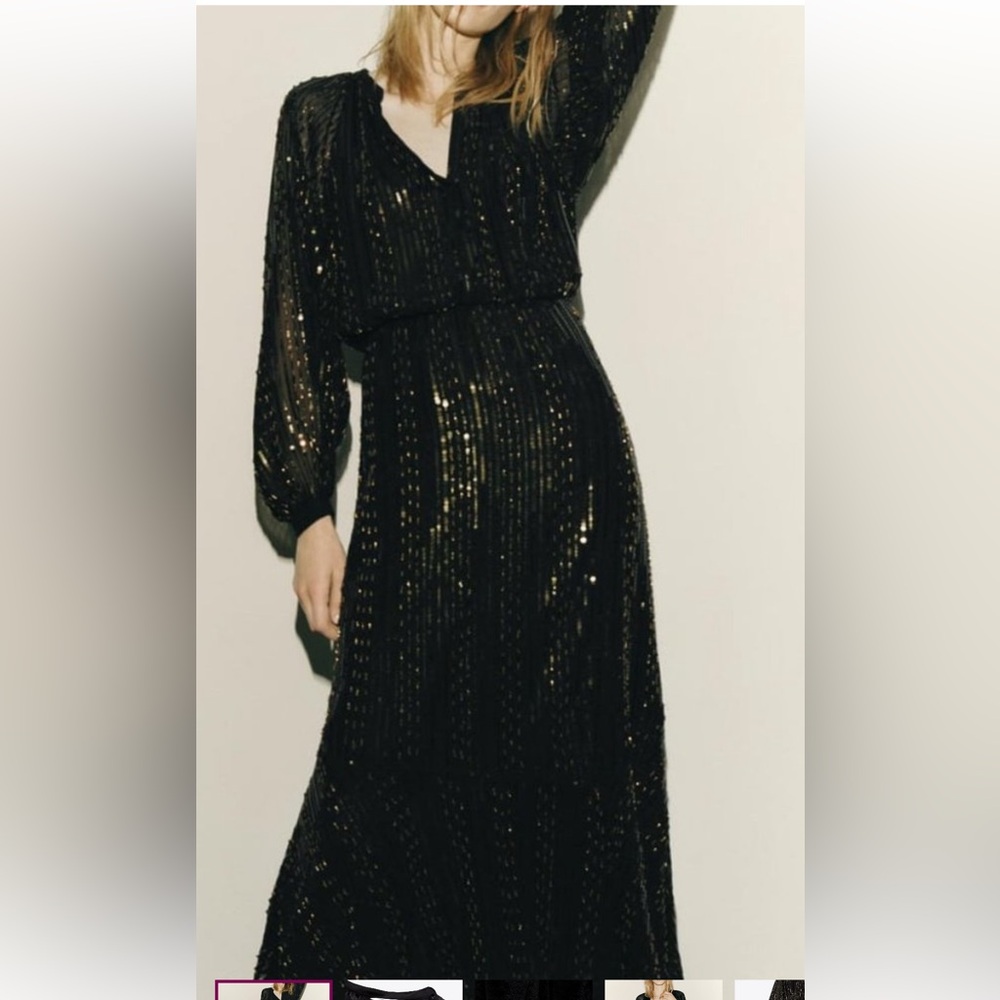 Zara Elegant Black and Gold Women's Dress